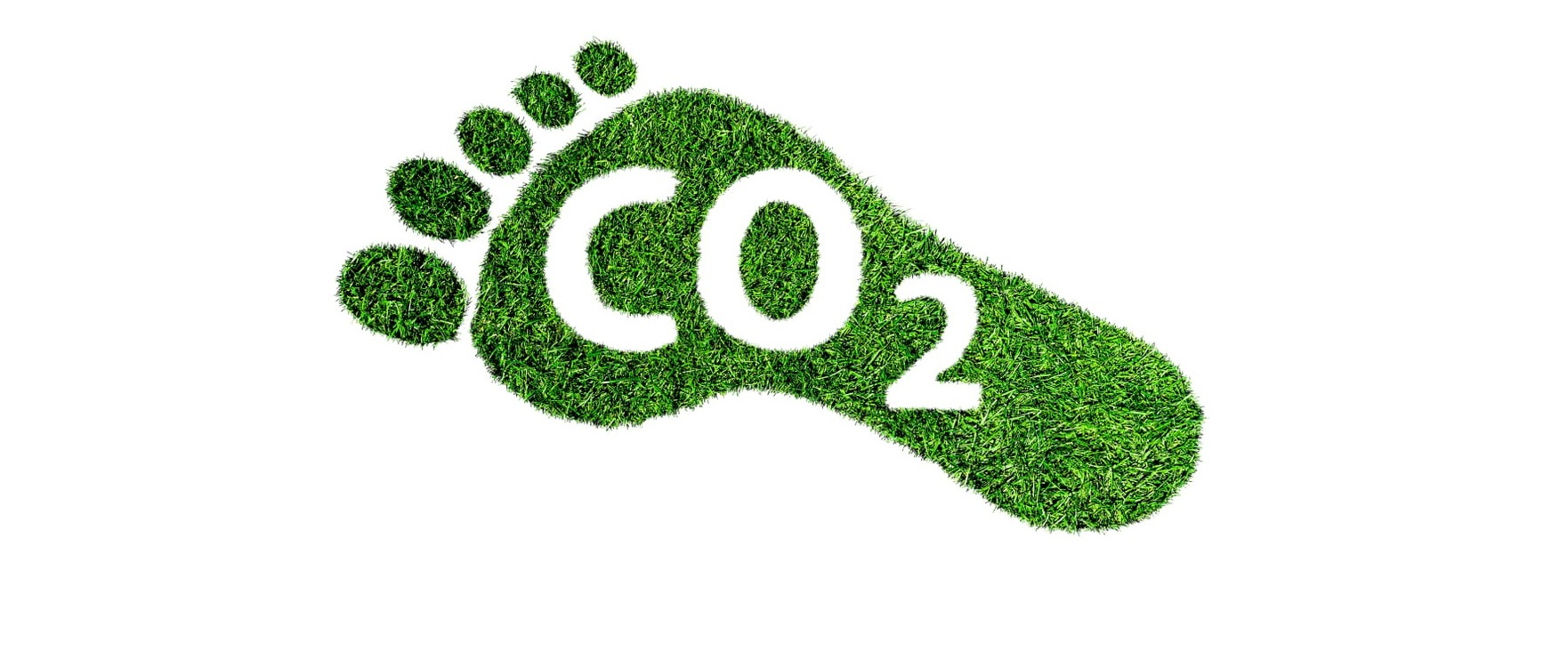 Carbon Footprint