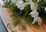Funerals 